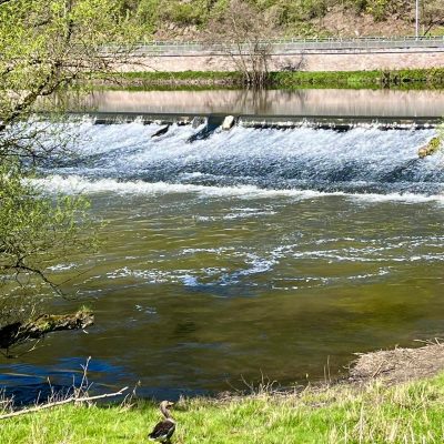 Natur am Wehr - nah am Hotel Lahneck